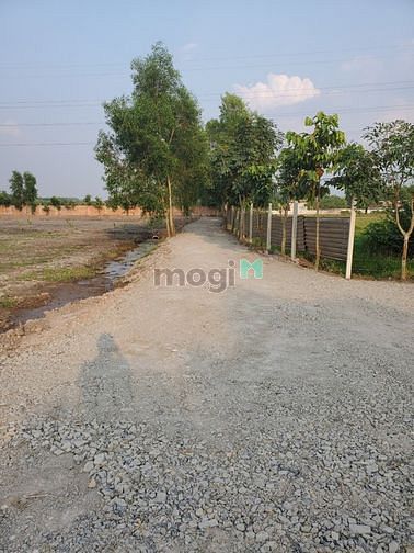 Hình ảnh Đất vườn 1004m2 cần bán gấp giá 1ty9 , sổ sẵn