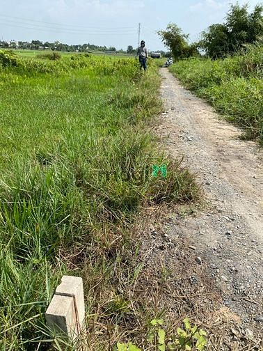 Hình ảnh 15 x 67 giá 4 ty 390 Đường 145 - Bình Mỹ - Củ Chi -TPHCM