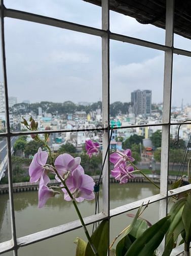 Hình ảnh Cho thuê Trang Chủ MB66.COM / Đăng Ký Tặng 66K mới đẹp căn góc 3 mặt chung cư Miếu Nổi