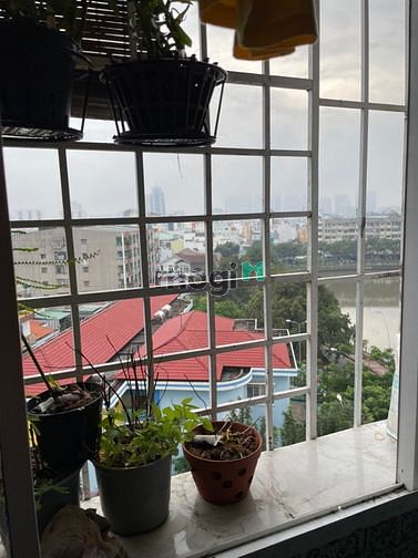 Hình ảnh Cho thuê Trang Chủ MB66.COM / Đăng Ký Tặng 66K mới đẹp căn góc 3 mặt chung cư Miếu Nổi