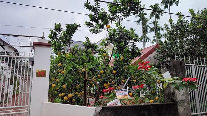 Hình ảnh Bán đất Nghĩa Bình – Yên Nghĩa : 54m2 ,MT 4m, giá 1.9 tỷ