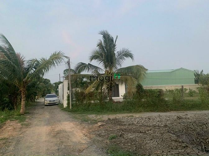 Hình ảnh Đất mặt tiền sông Bình Mỹ, Củ Chi, 1345m2