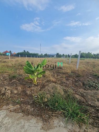 Hình ảnh 𝐁𝐚́𝐧 đất thổ TT Cần Giuộc 125m2 - Giá 1ty1