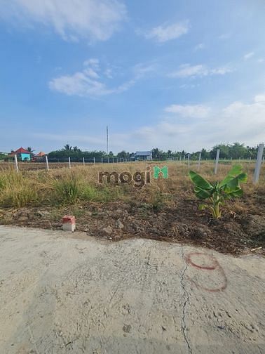 Hình ảnh 𝐁𝐚́𝐧 đất thổ TT Cần Giuộc 125m2 - Giá 1ty1