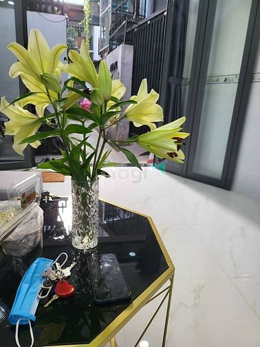 Hình ảnh Bán nhà Phan Tây Hồ-P7-Phú Nhuận