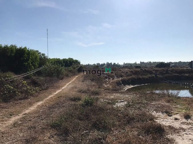 Hình ảnh 3 mẫu 2 . Dất sát biển Hồ Lân. Tân Thắng giá 8 tỷ /ha