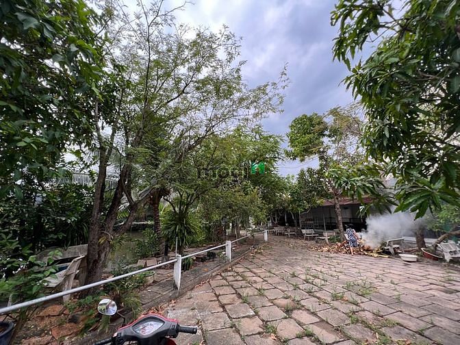 Hình ảnh Bán 2500m2 ngay trung tâm Cần Thơ - kế đại học Cần Thơ