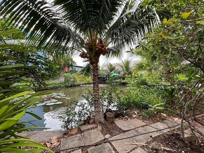 Hình ảnh Bán 2500m2 ngay trung tâm Cần Thơ - kế đại học Cần Thơ