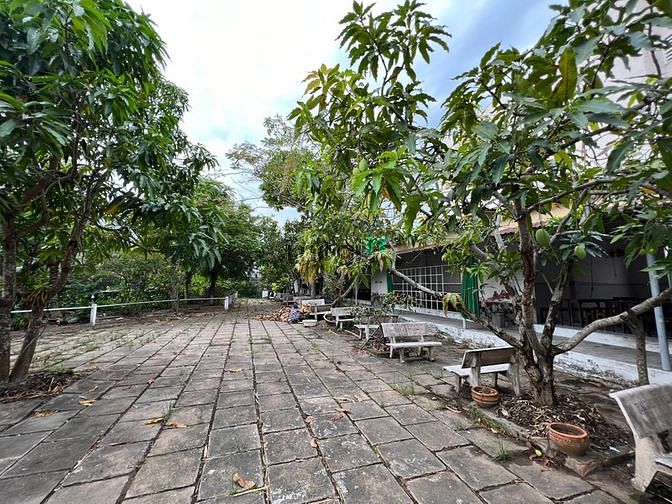 Hình ảnh Bán 2500m2 ngay trung tâm Cần Thơ - kế đại học Cần Thơ