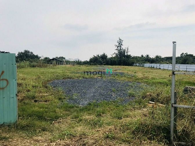 Hình ảnh Đất 600m2 ngay chợ phú lạc bình chánh giá 1ty
