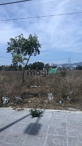 Hình ảnh Chính chủ cần bán lô đất mặt tiền đường Hồ Tri Tân