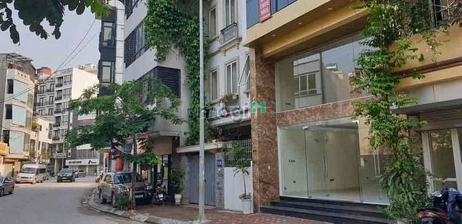 Hình ảnh Cho thuê nhà mặt phố Phan Kế Bính - Ba Đình