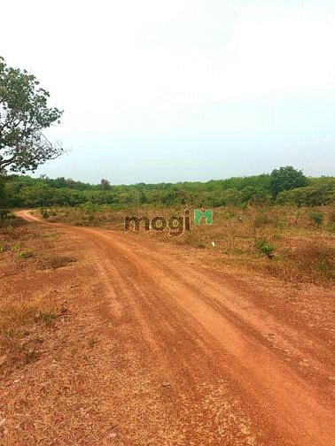 Hình ảnh Đất sào sát KCN ledana sát QL13 sổ sẵn giá hấp dẫn