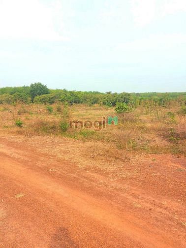 Hình ảnh Đất sào sát KCN ledana sát QL13 sổ sẵn giá hấp dẫn