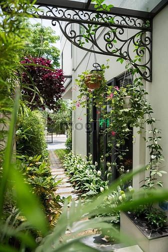 Hình ảnh Cho thuê biệt thự Mỹ Kim, Quận 7 nhà đẹp.