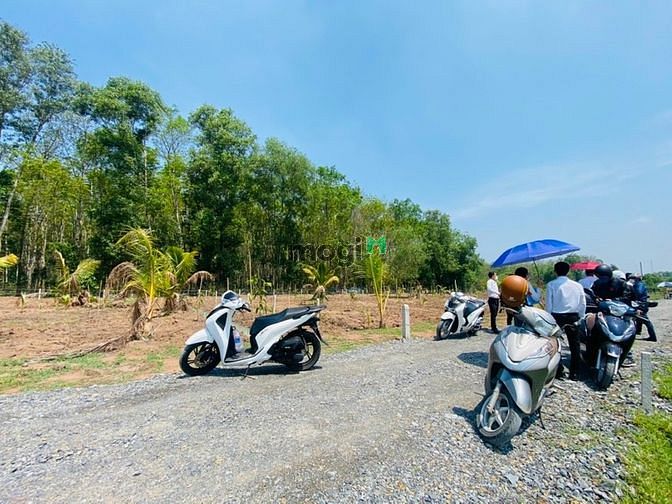 Hình ảnh Bán Đất Vườn giá rẻ 1000m2 giá chỉ 2,5tr/m2.SHR.Bao phí thuế.