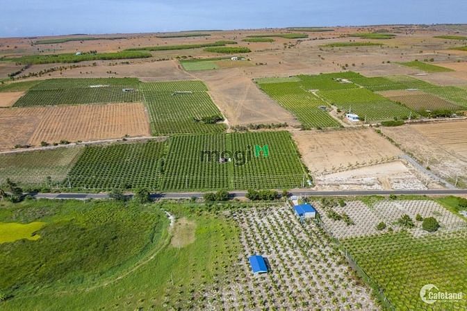 Hình ảnh Cần bán SIÊU PHẨM 23.000m2 cạnh thác Drail Dlong, DAKLAK
