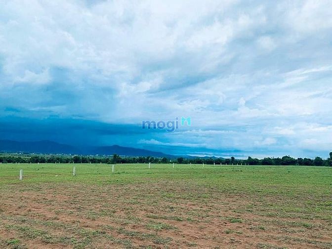 Hình ảnh Cần bán SIÊU PHẨM 23.000m2 cạnh thác Drail Dlong, DAKLAK