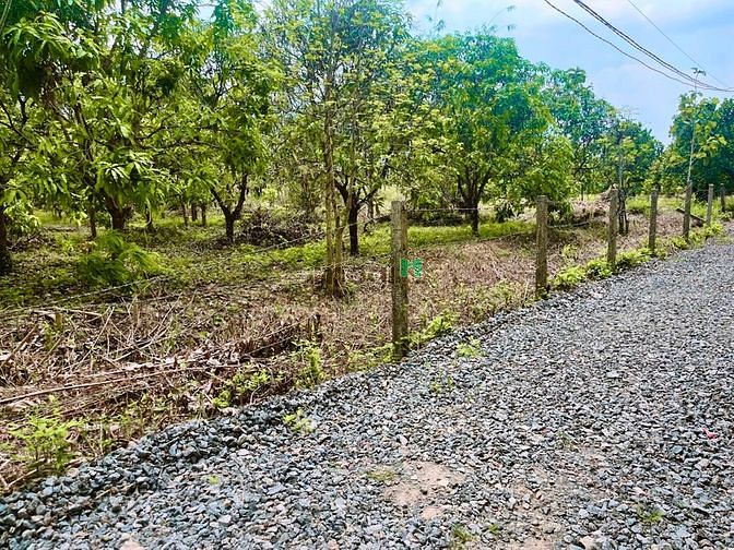Hình ảnh Bán gấp lô đất vườn xoài thái và bưởi