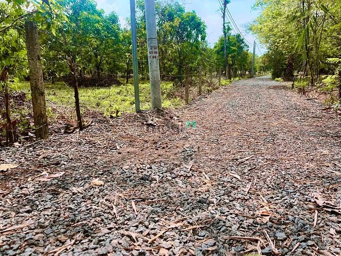 Hình ảnh Bán gấp lô đất vườn xoài thái và bưởi