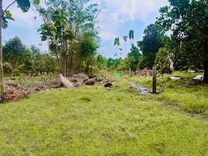 Hình ảnh Bán gấp lô đất vườn xoài thái và bưởi