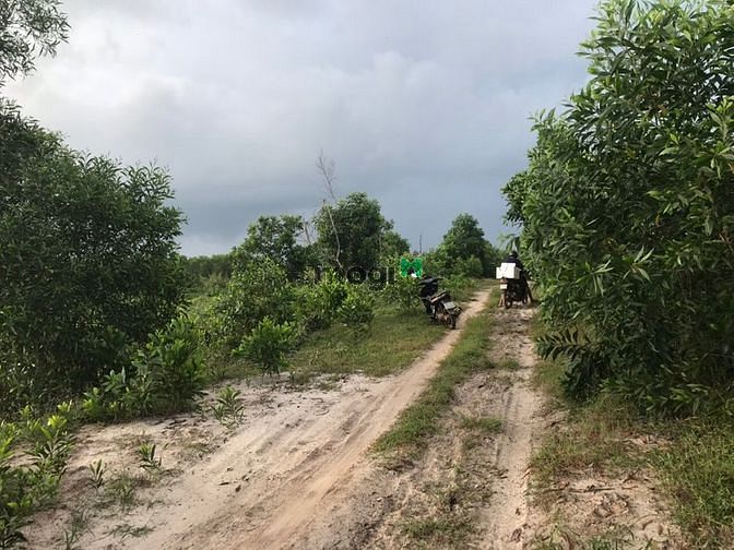 Hình ảnh Đất ven biển 4 xào 9 . Cách biển 600 m. Giá 5 tỷ.