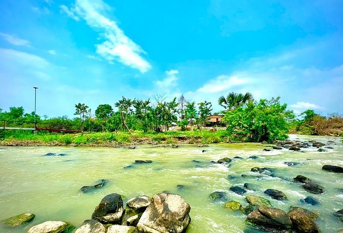 Hình ảnh Đất vườn xoài Ngọc Định 1 sào rưỡi