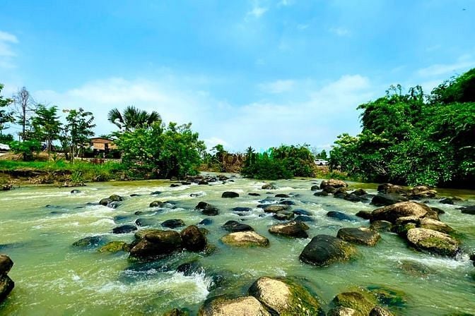 Hình ảnh Đất vườn xoài Ngọc Định 1 sào rưỡi