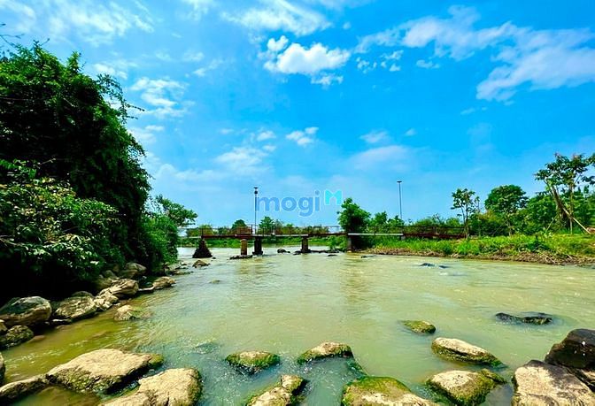 Hình ảnh Đất vườn xoài Ngọc Định 1 sào rưỡi