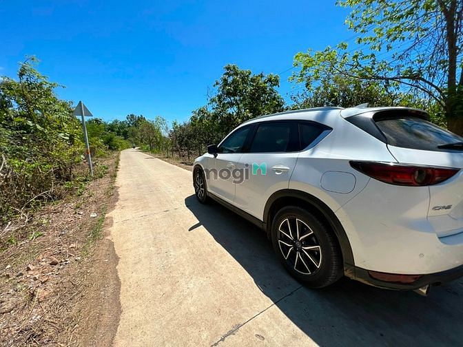 Hình ảnh Đất vườn xoài Ngọc Định 1 sào rưỡi