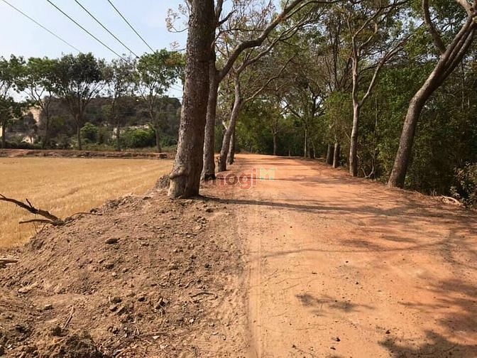 Hình ảnh 1 Ha 4. Đất ven biển Tân Thắng giá 7 tỷ đối diện cổng BECAMEX