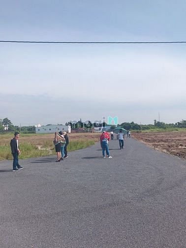 Hình ảnh Lên Nhanh Lô Đất Sau Lưng Trung Tâm Hành Chính Thị Trấn Đất Đỏ.