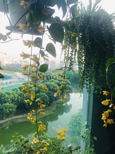 Hình ảnh Cho thuê Trang Chủ MB66.COM / Đăng Ký Tặng 66K Emerald Celadon City 2 phòng ngủ Full nội thất cao cấp