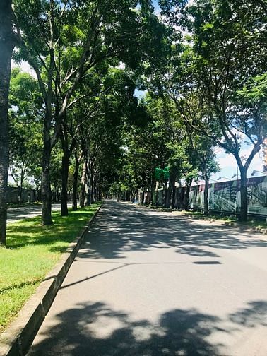 Hình ảnh Cho thuê Trang Chủ MB66.COM / Đăng Ký Tặng 66K Emerald Celadon City 2 phòng ngủ Full nội thất cao cấp