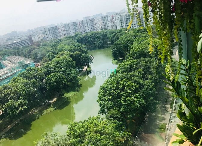 Hình ảnh Cho thuê Trang Chủ MB66.COM / Đăng Ký Tặng 66K Emerald Celadon City 2 phòng ngủ Full nội thất cao cấp