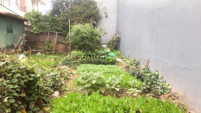 Hình ảnh Cần bán gấp thửa đất thuộc tổ 14 gần ngay mặt ngõ 303 Phúc Lợi