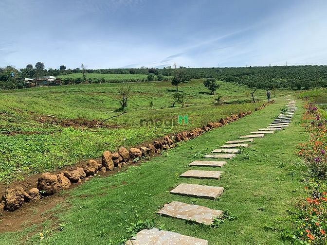 Hình ảnh Đất nền dự án kiwuki village 2 gần TTHC bảo lộc