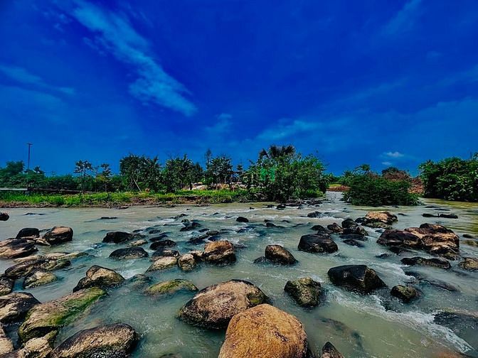 Hình ảnh Bán đất vườn xoài gần đảo Cá Heo