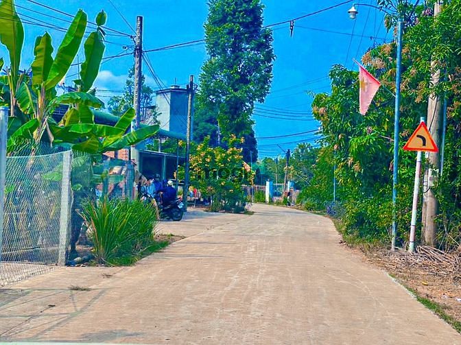Hình ảnh Bán đất vườn xoài gần đảo Cá Heo
