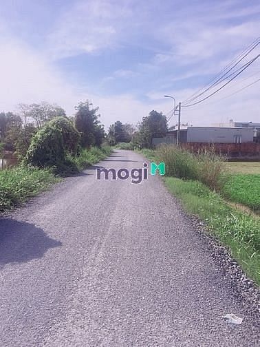 Hình ảnh Full 2000m2 thổ cư - khu quy hoạch dân cư giá chỉ 6tr 5/m2