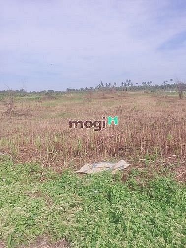 Hình ảnh Full 2000m2 thổ cư - khu quy hoạch dân cư giá chỉ 6tr 5/m2