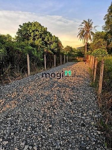 Hình ảnh Bán 1200m2 Thổ Cư Bình Mỹ Củ Chi Đường Trải đá Giá 5.8 tr/m2 Full Thổ