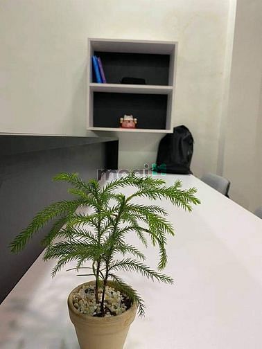Hình ảnh Mb6623 nạp rút nhanh chóng STUDIO bancong Full NT nằm ngay MT đường Ký Con Q1
