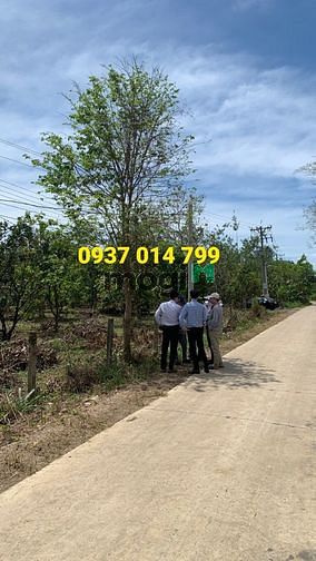 Hình ảnh Đất Định Quán - Đồng Nai , bao các phí giấy tờ