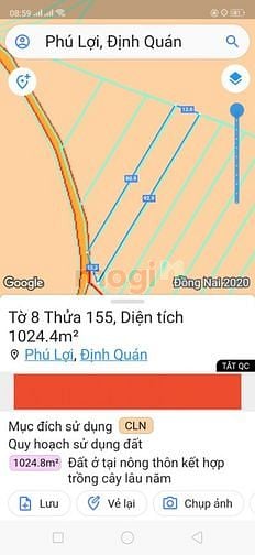 Hình ảnh Cần bán 2 lô vườn mít, sầu bưởi giá chỉ 655 triệu/sào