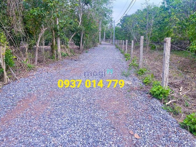 Hình ảnh Đất Định Quán - Đồng Nai , bao các phí giấy tờ