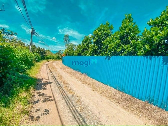 Hình ảnh Cần bán 2 lô vườn mít, sầu bưởi giá chỉ 655 triệu/sào