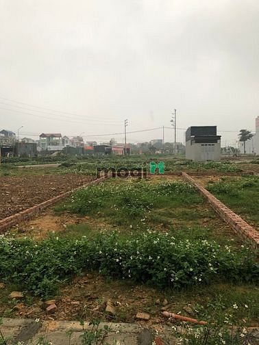 Hình ảnh BÁN ĐẤT DV Lại Yên Hoài Đức 60m2 MT4m 3TỶ hơn .đường rộng 12m
