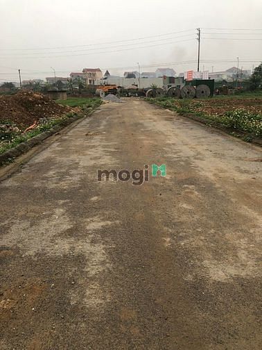 Hình ảnh BÁN ĐẤT DV Lại Yên Hoài Đức 60m2 MT4m 3TỶ hơn .đường rộng 12m