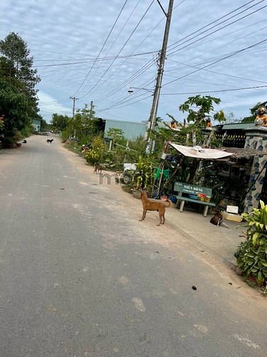 Hình ảnh An Tây Bến Cát đường nhựa DX 8m, 6×42×100m thổ cư